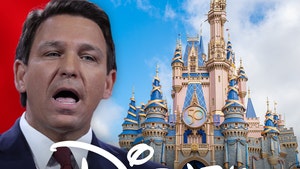 Disney Sues Gov. DeSantis, Says Political Retaliation Threatening Business