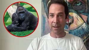 Michael Stern, Gorillas vs Humans