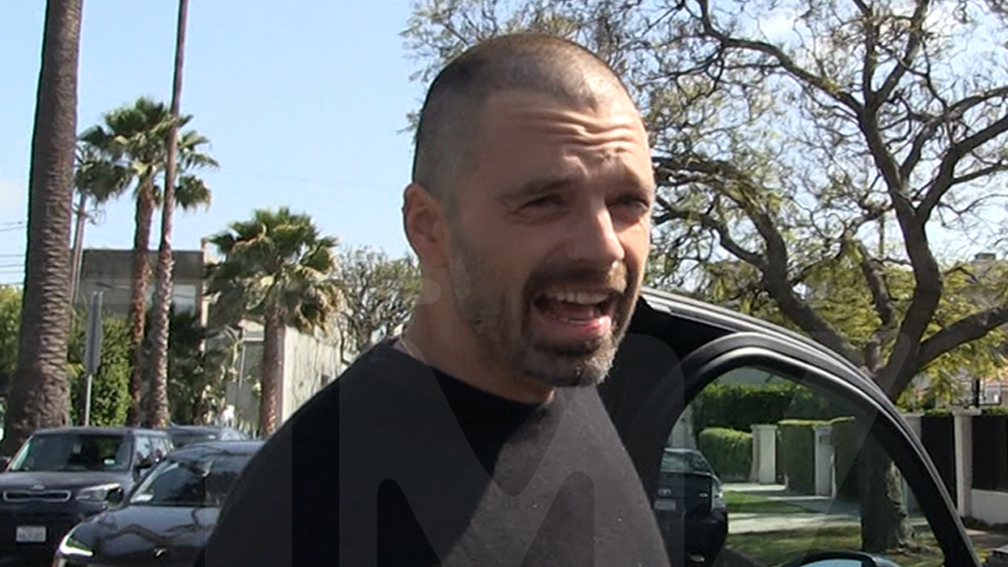 Sebastian Stan Says He Shaved Head for Role, Not Midlife Crisis