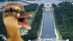 main-reflecting-pool-getty-2