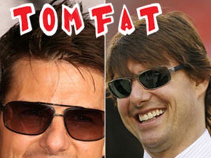 TomFat gallery: Click to launch