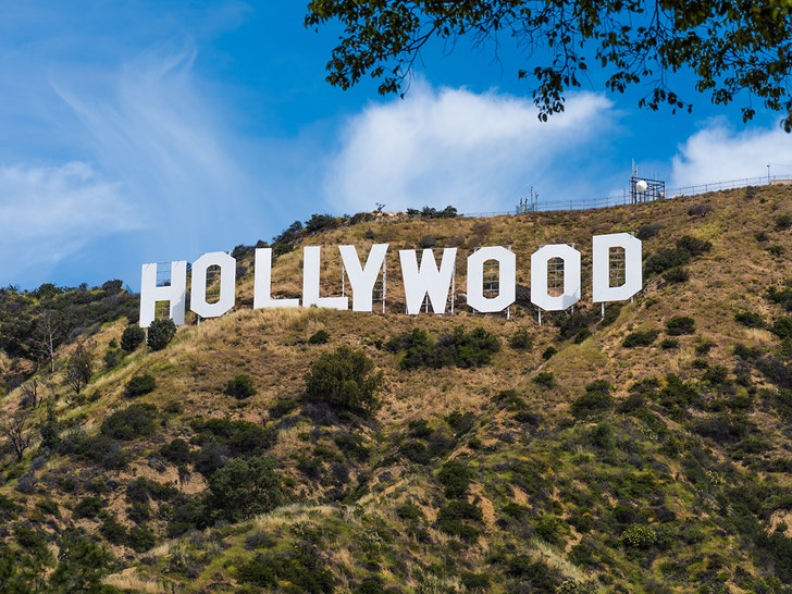 Would-Be Criminal Threatens to Blow Up Hollywood Sign, Calls Wrong Cops