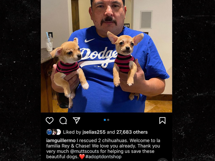 guillermo rodriguez post when he adopted dogs