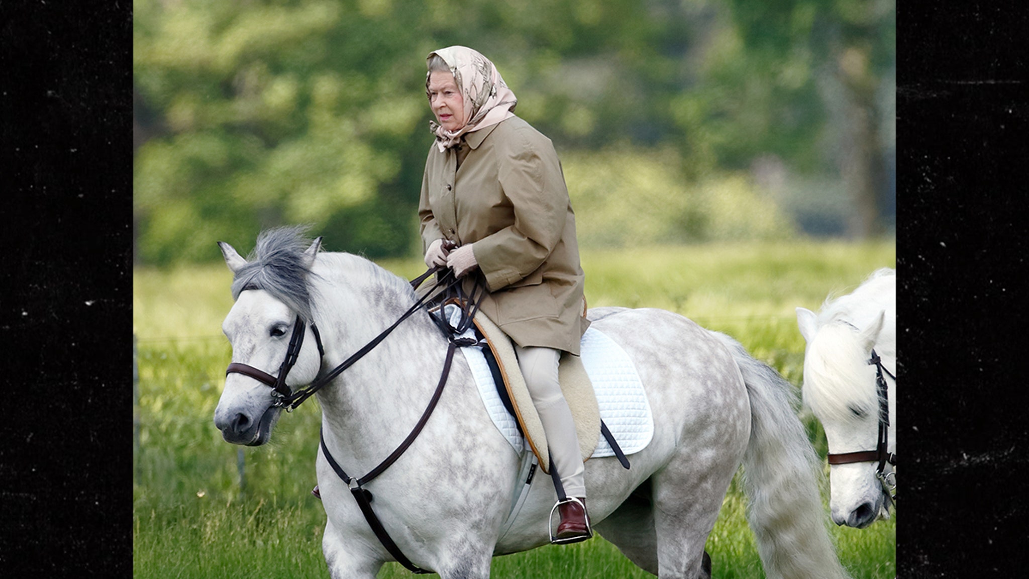 Queen Elizabeth II's Will Determines Who Gets Her Beloved Horses, Dogs