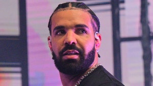 Drake's Home Burglarized, Suspect Arrested In Neighborhood