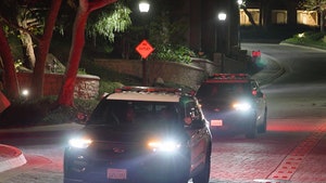 042325-gordon-ramsay-primary