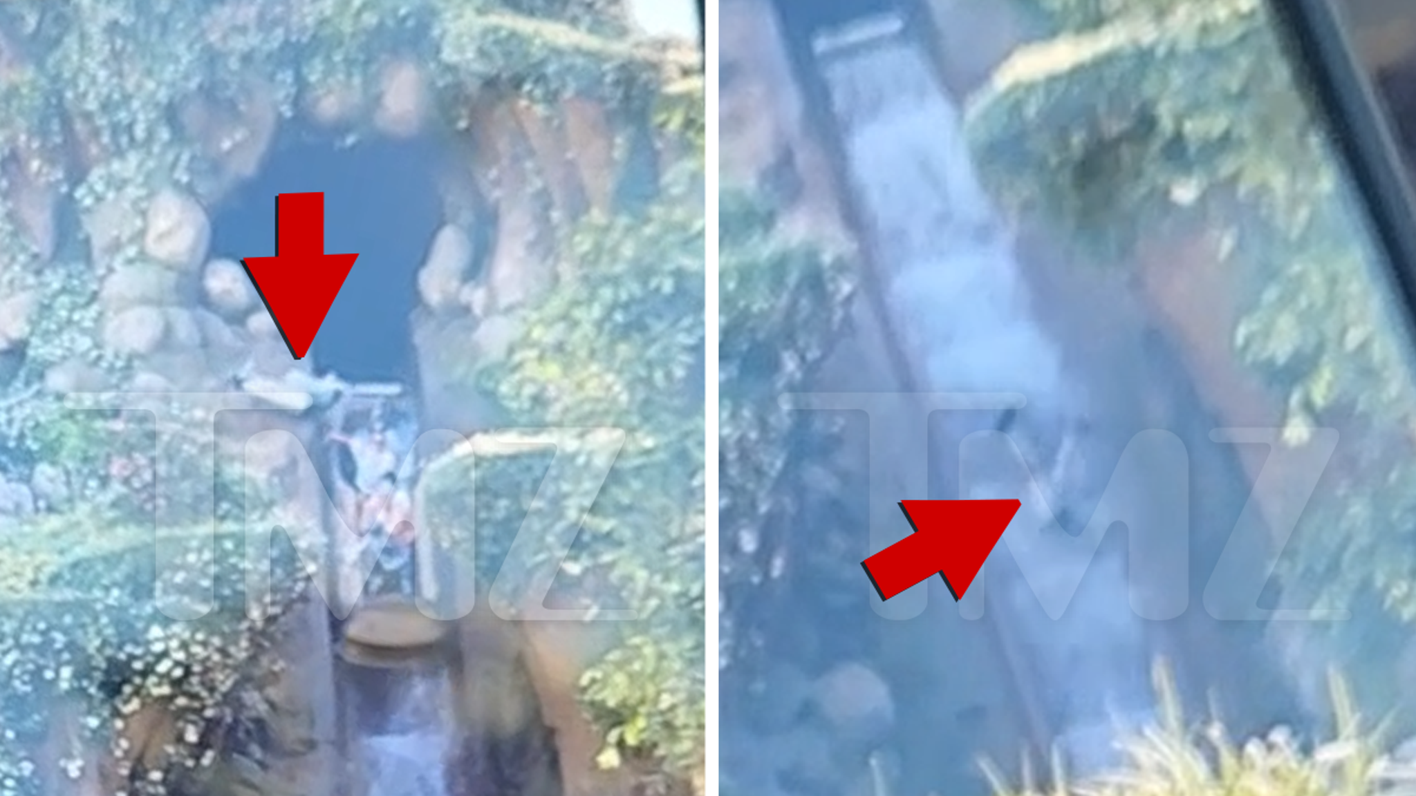 Disney Disaster! Kid Plummets 50 Feet on Ride!