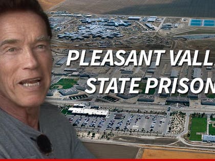 0711-arnold-schwarzenegger-pvsp-tmz-02