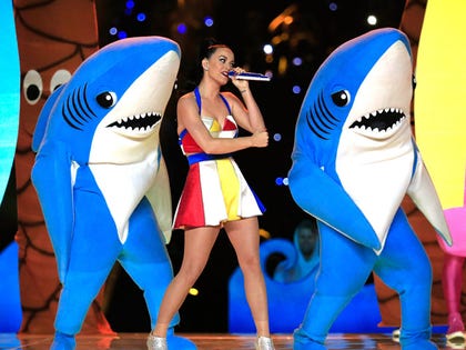 super_bowl_sharks_015