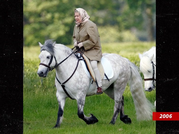 Queen Elizabeth With Horses