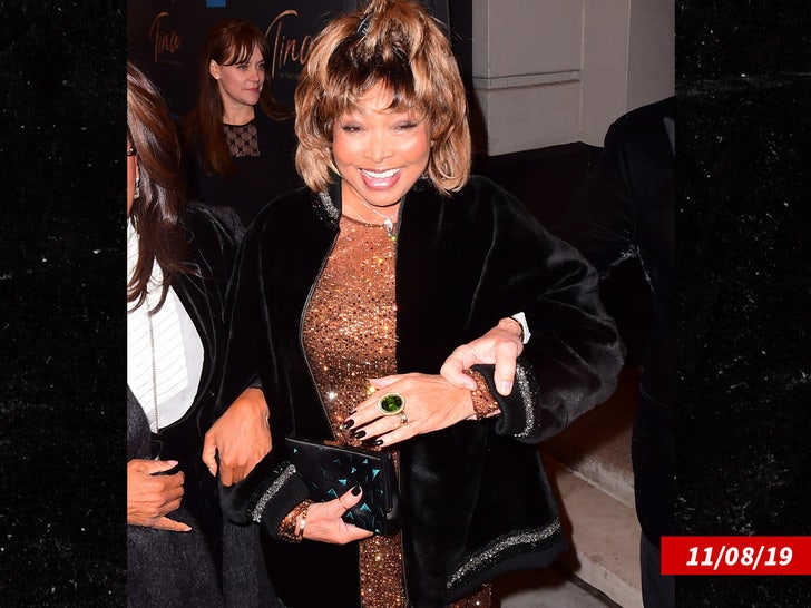 Tina Turner Regretted Not Taking Care of Kidneys Two Months Before Death