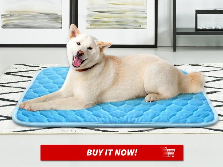 Dog-Cooling-Mat-for-Pets-MAIN