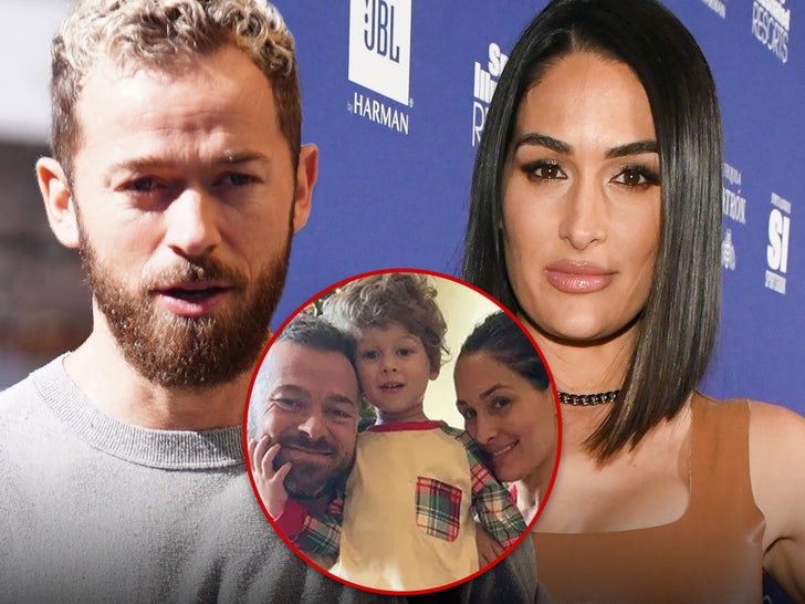 Artem Chigvintsev & Nikki Bella Have Fight Brewing Over Custody, Spousal Support