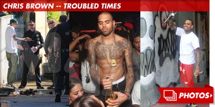 Chris Brown's Troubled Times