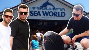Sam Smith -- Hanging Out at Sea World ... But Not the Bad SeaWorld