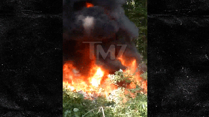 081317_helicopter_crash_kal