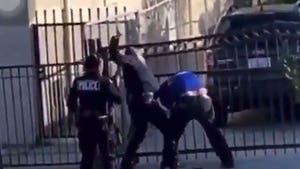 Video Shows Violent LAPD Arrest, Officer Throwing Punches