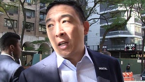 Andrew Yang's Anti-Circumcision Stance Resurfaces with NYC Mayoral Run