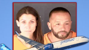 jet blue plane mug shots getty Sarasota County Jail-AP composite main 2