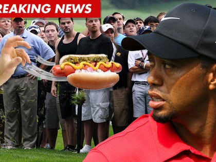 1009_tiger_woods_composite_bn