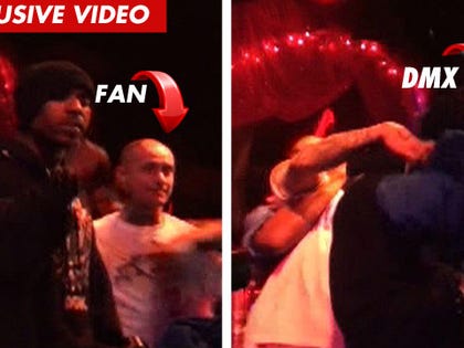 0106_dmx_tmz_ex_video