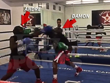 110514_andre_berto_primary_v2