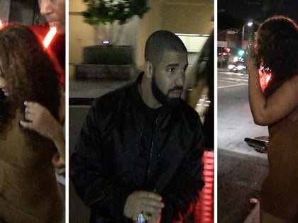 101215_drake_primary