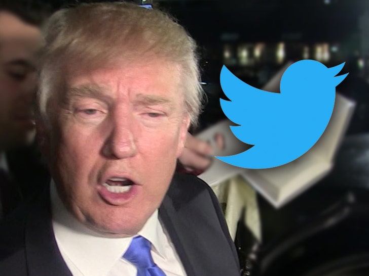 0106-donald-trump-twitter-tmz-01