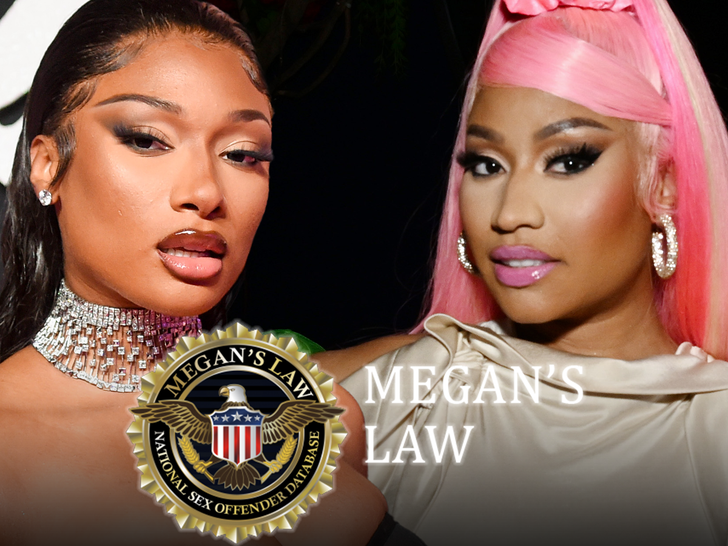 Megan Thee Stallion's 'Megan's Law' 'Hiss' Line Blasted by Kanka Family #MeganTheeStallion
