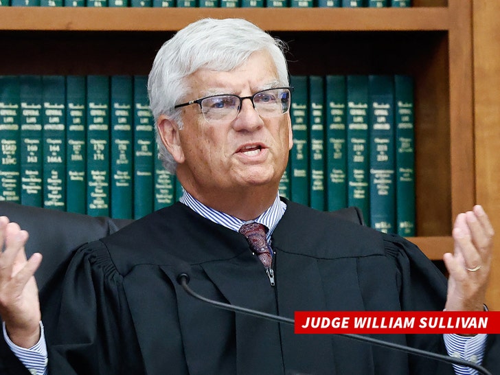 judge William Sullivan getty