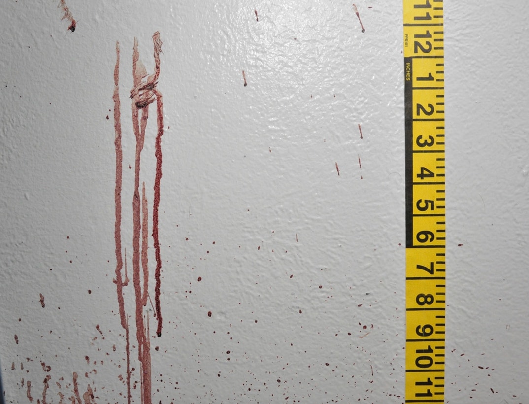 Bryan Kohberger Graphic Crime Scene Photos 4