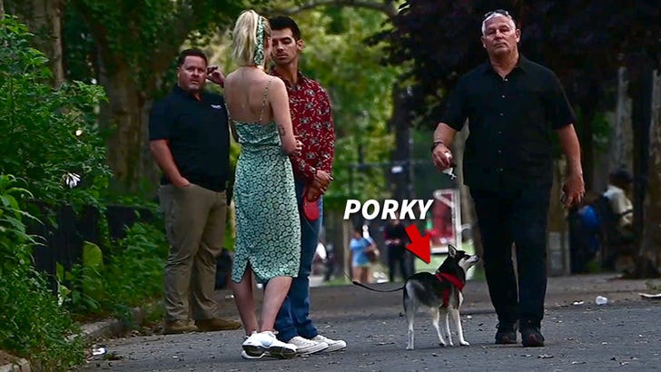 Joe and Sophie comforted each other as they walked in a New York City park with Porky.