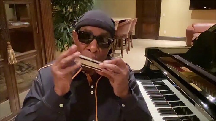 Stevie Wonder