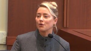 Amber Heard Testifies About Poop in Bed, Blames Depp's Dog