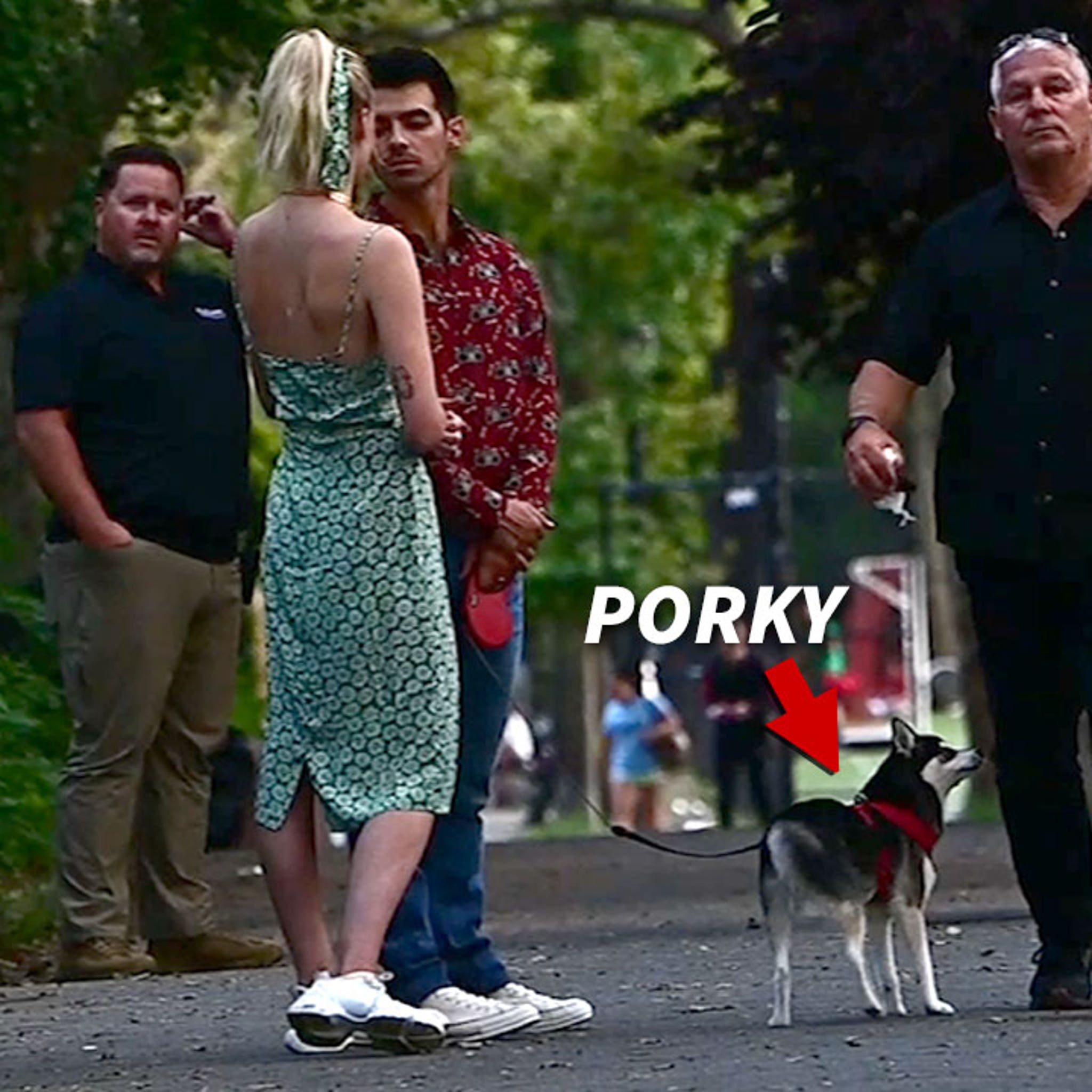 Sophie Turner and Joe Jonas' Dog Reportedly Killed in “Freak Accident”