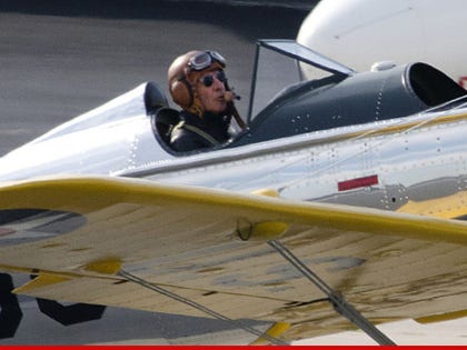 0308-harrison-ford-plane-FAMEFLYNET-01