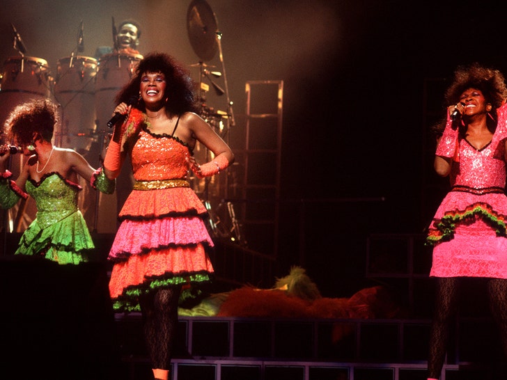 The Pointer Sisters -- Performance Photos