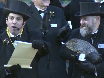 Punxsutawney Phil Shadow