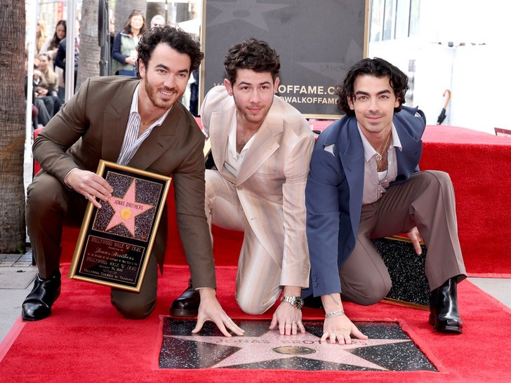 Stars with Their Stars on the Hollywood Walk of Fame