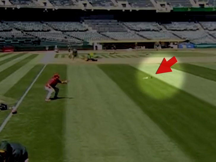 MLB Star Zac Gallen Kills Bird With WarmUp Pitch, Shades Of Randy