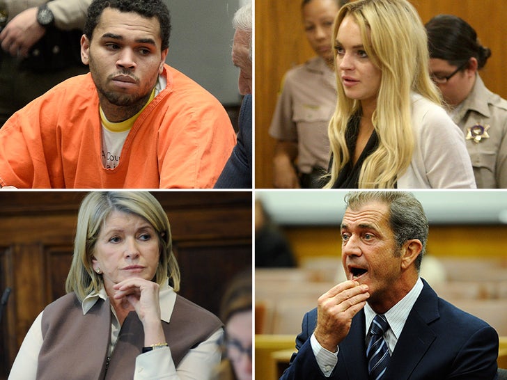 Celebs Who've Been Convicted