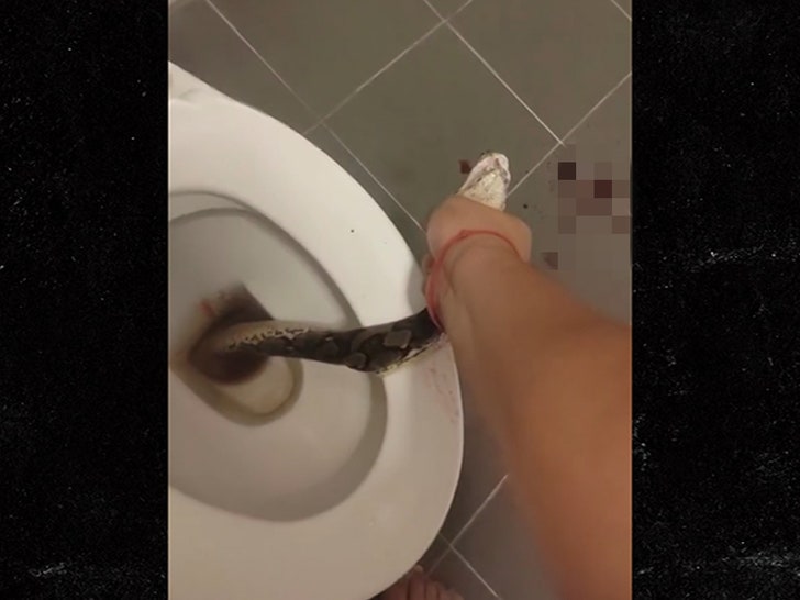 082124_toilet_snake.-sg1