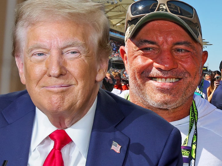 Joe Rogan Shares His Reaction to Donald Trump Win After Recent Endorsement