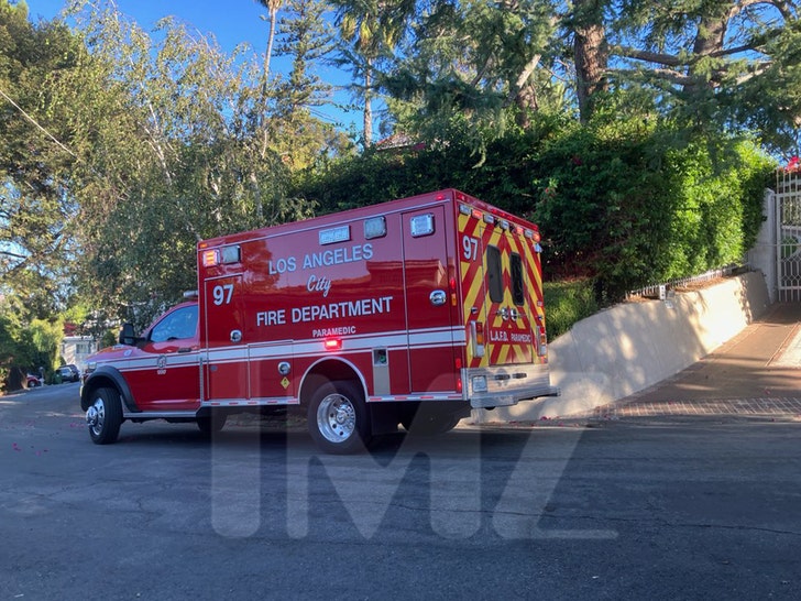 William Shatner Ambulance TMZ WM 1