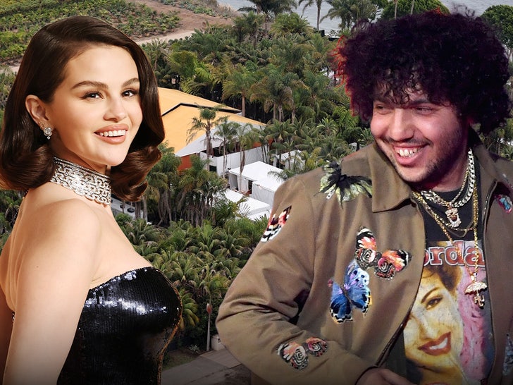 Selena Gomez & Benny Blanco's Wedding Venue - Aerial View