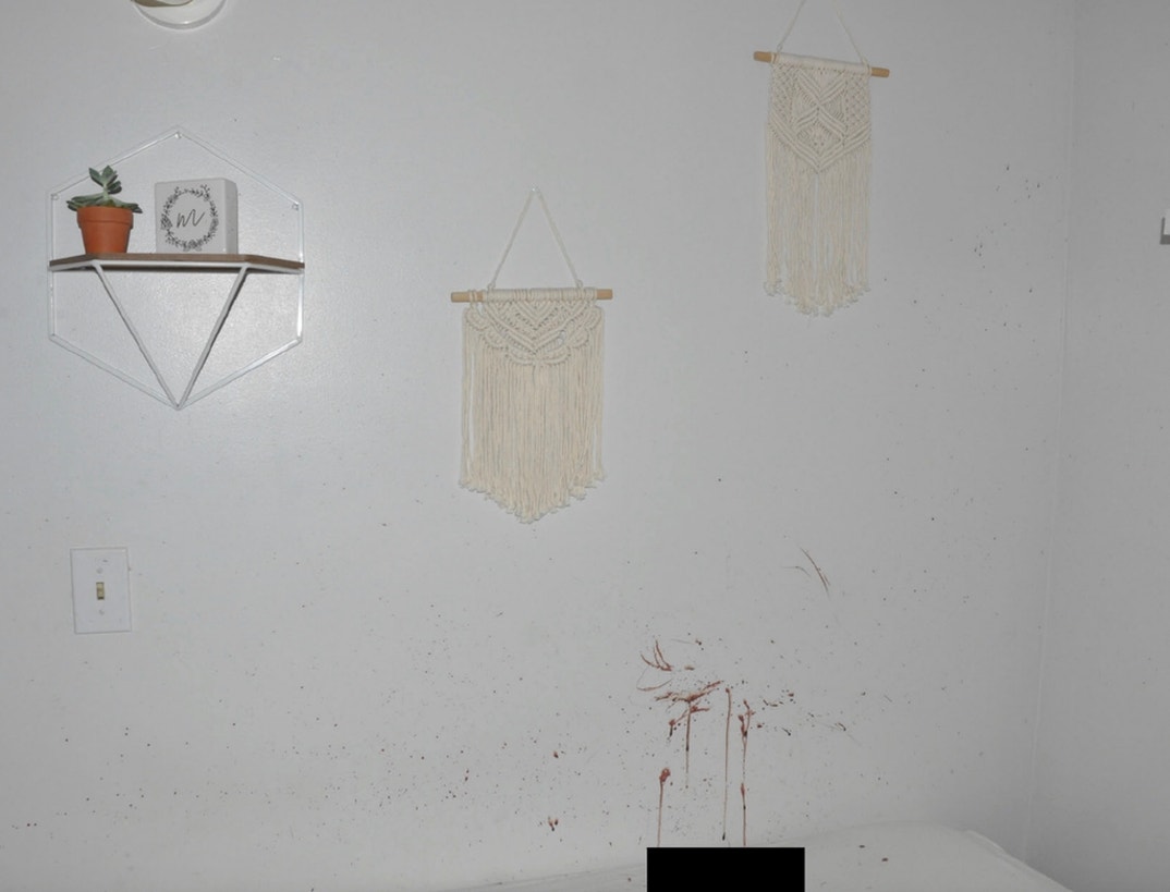 Bryan Kohberger Graphic Crime Scene Photos 19