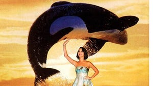 Famous Faces in 'Free Willy'