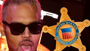 Chris Brown -- Secret Service Could Save Him from Prison