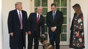 Trump Honors ISIS-Killing Dog at the White House, Warns Press It Bites