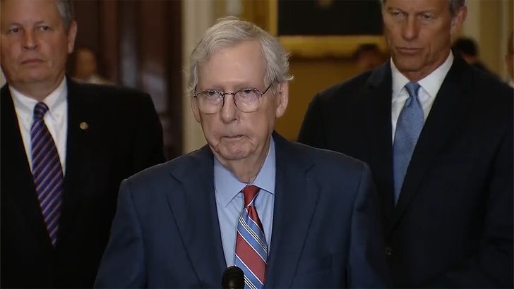 Sen. Mitch McConnell Freezes Up at Podium, Seems to Endure Medical Episode